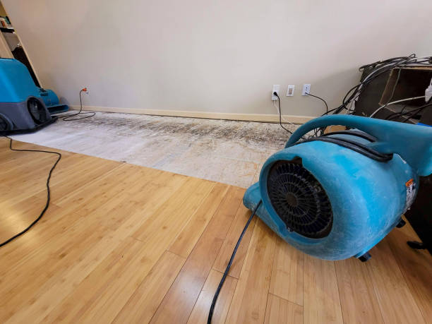 Professional Emergency Water Damage technician working in Davenport, FL